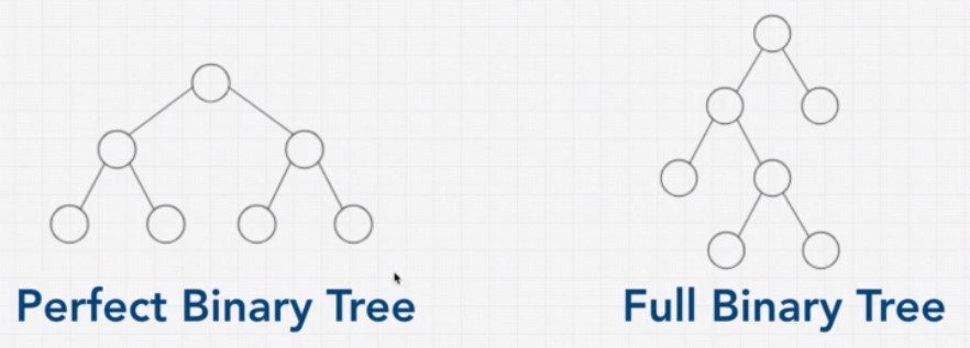 Perfect Full Binary Tree